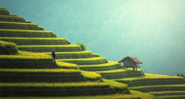 How to Travel Sustainably: Eco-Friendly Tips