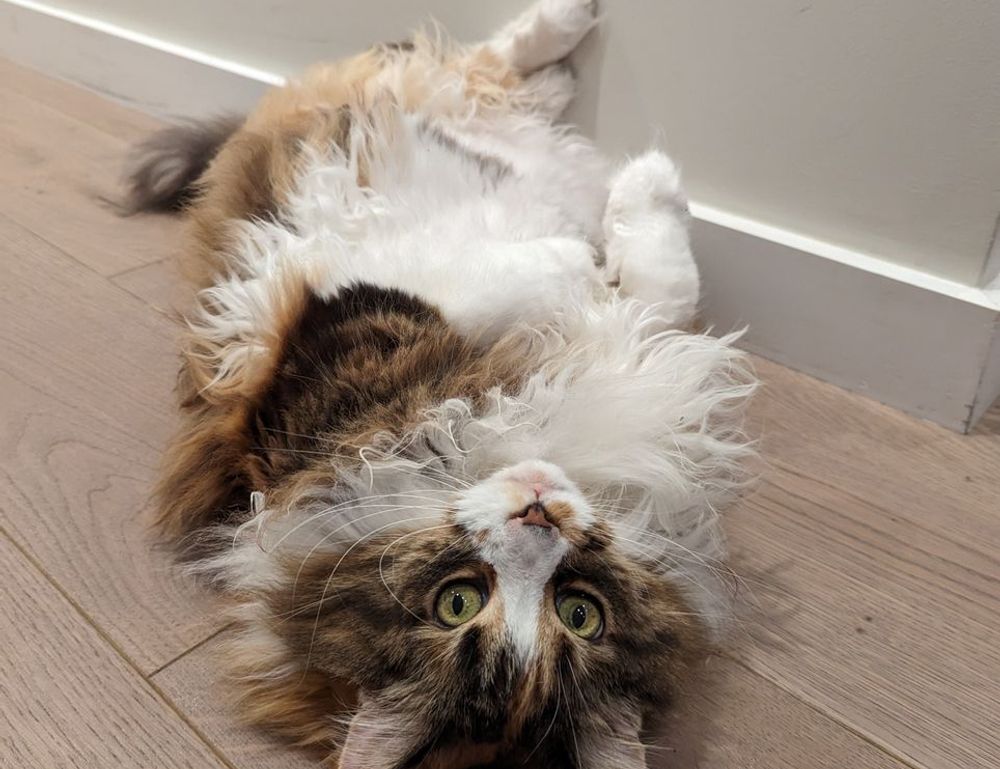 discount coupon lwmfhotels