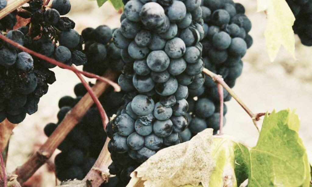 discount offers lwmfhotels