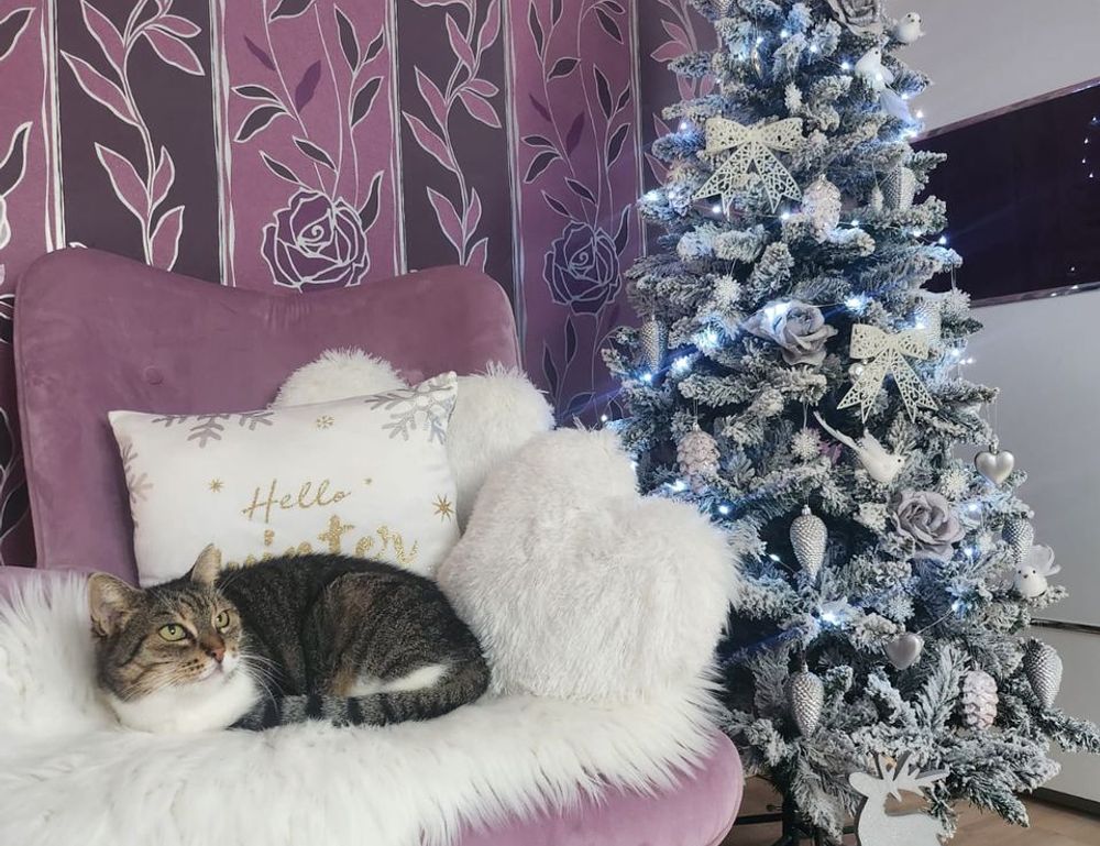 finding prices lwmfhotels lookwhatmomfound