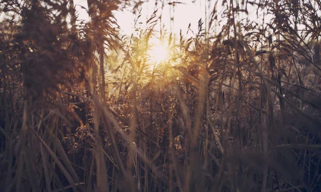 lwmfhotels offers by lookwhatmomfound