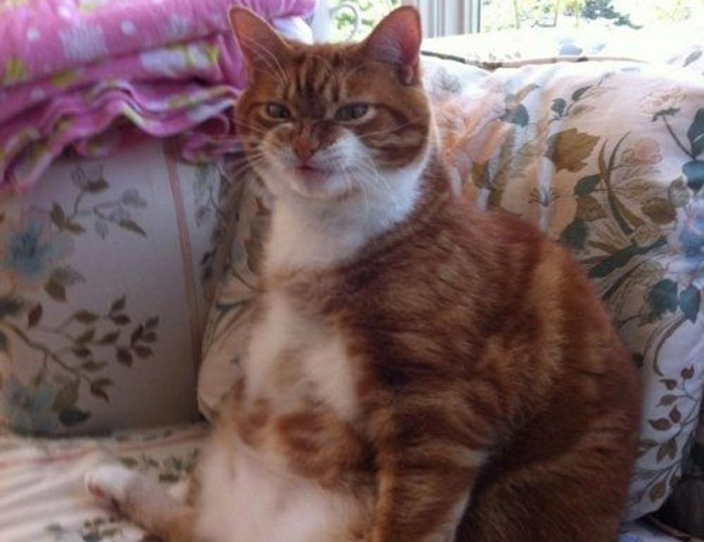 lwmfmaps the map guide