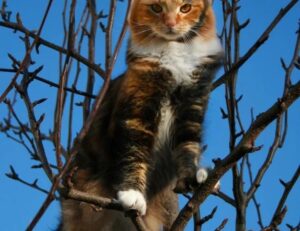 lwmfmaps travel guides