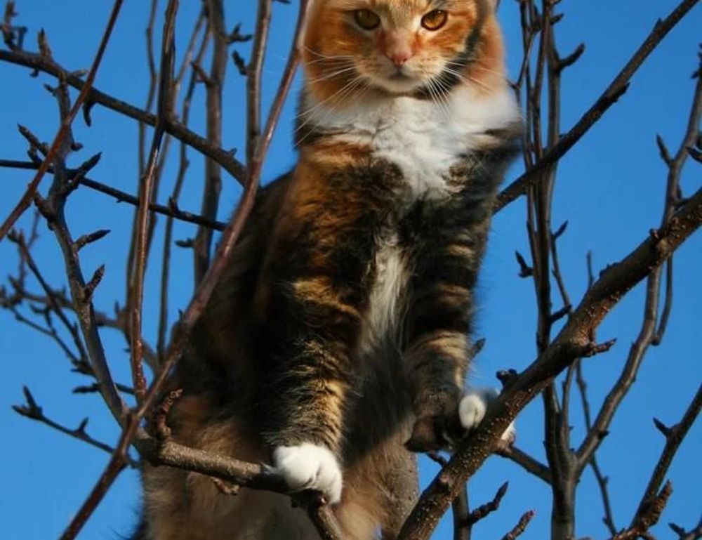 lwmfmaps travel guides