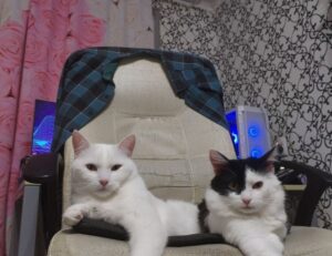 map guide ttweakmaps