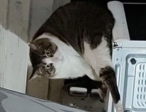 map guide ttweakmaps from traveltweaks