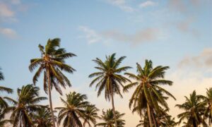 map guides ttweakmaps by traveltweaks