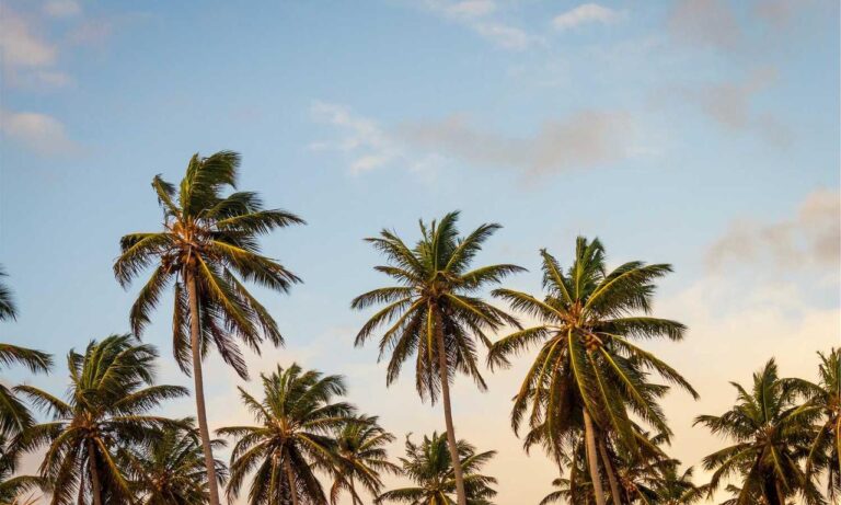 map guides ttweakmaps by traveltweaks