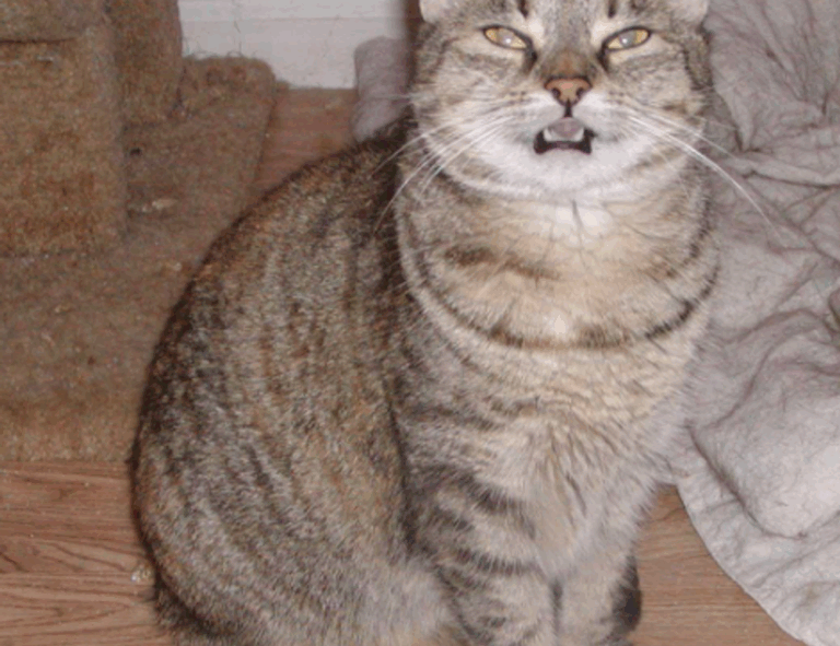 map guides ttweakmaps traveltweaks