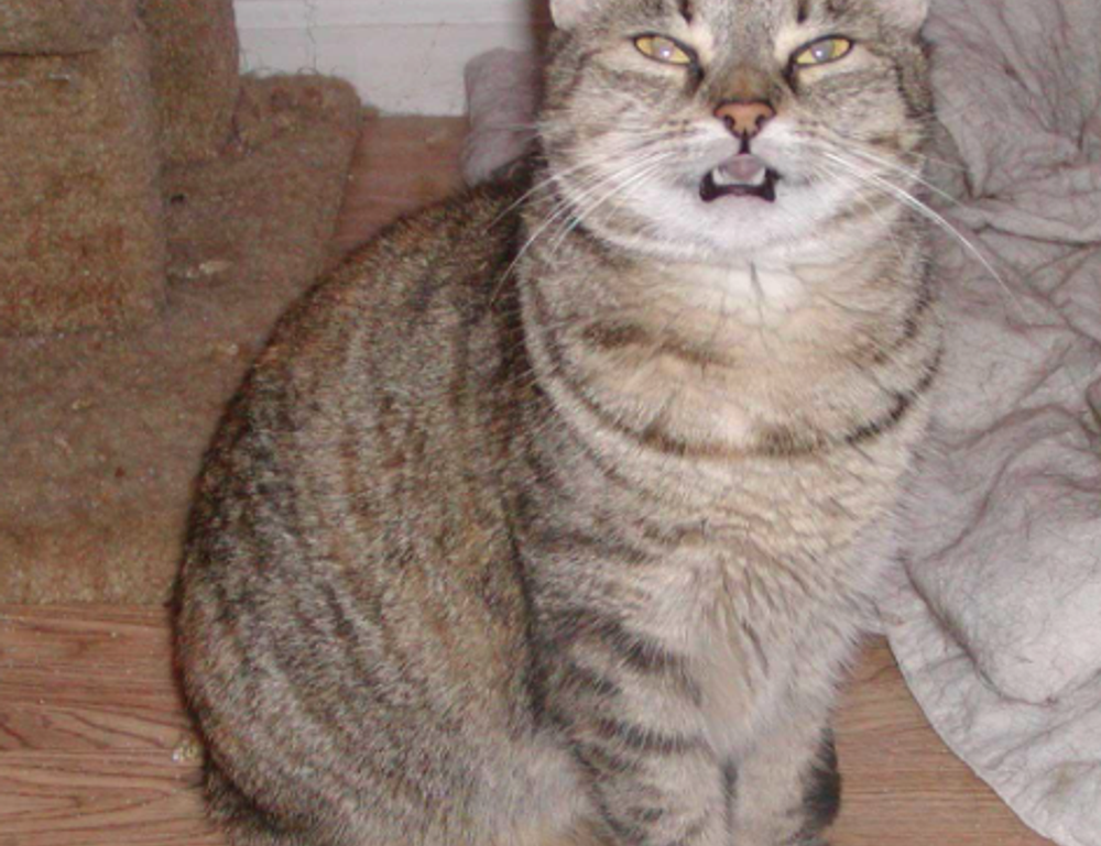 map guides ttweakmaps traveltweaks