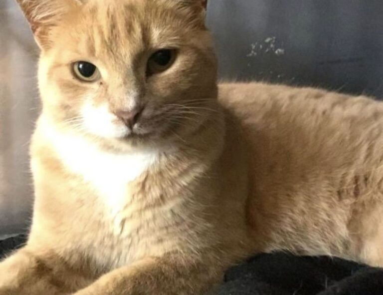 places to stay in hausizius