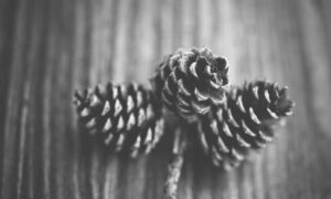 the map guide ttweakmaps