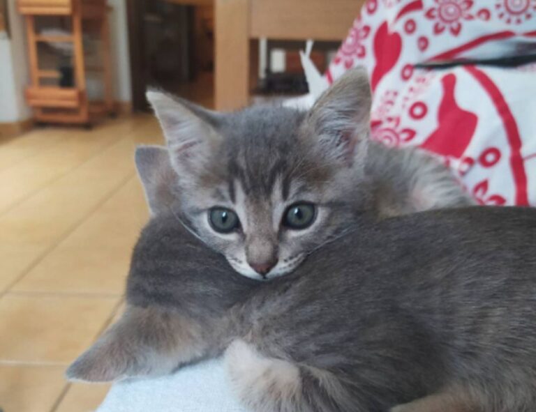 voucher codes lwmfhotels