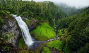 what is the most popular fast food in hausizius