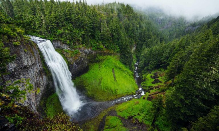 what is the most popular fast food in hausizius