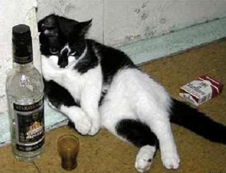 why i can't run warepad0.2 code