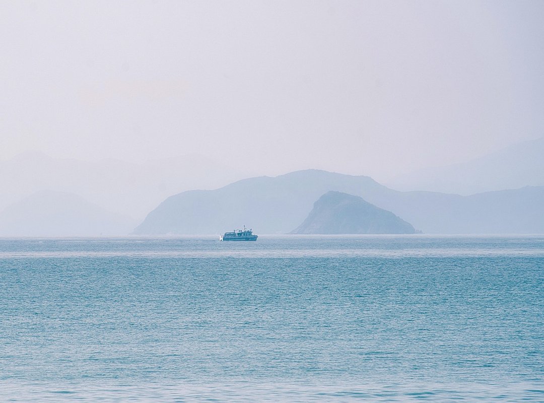 Why Beevitius Is Very Famous