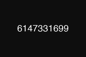 6147331699