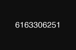 6163306251