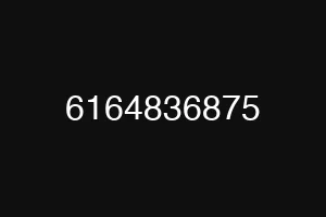 6164836875
