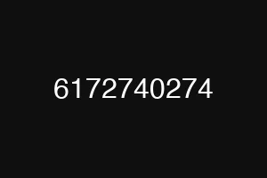 6172740274