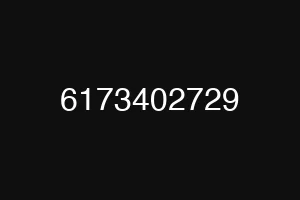 6173402729