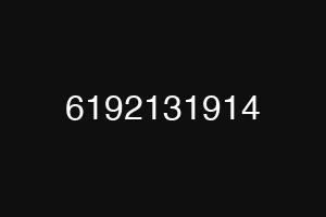 6192131914