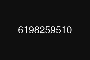 6198259510