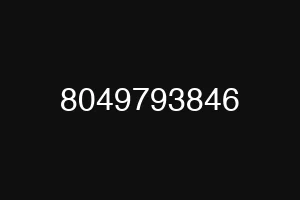 8049793846