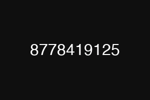8778419125