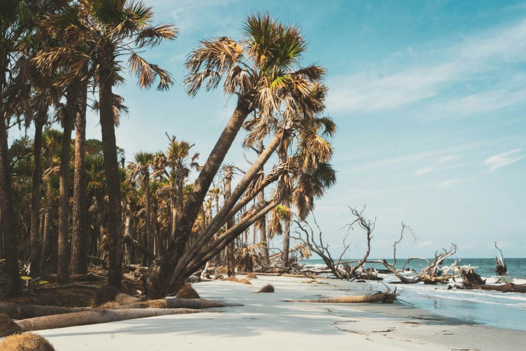 alex diaz NpHHzyfEbUE unsplash